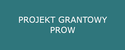 projekt prow1